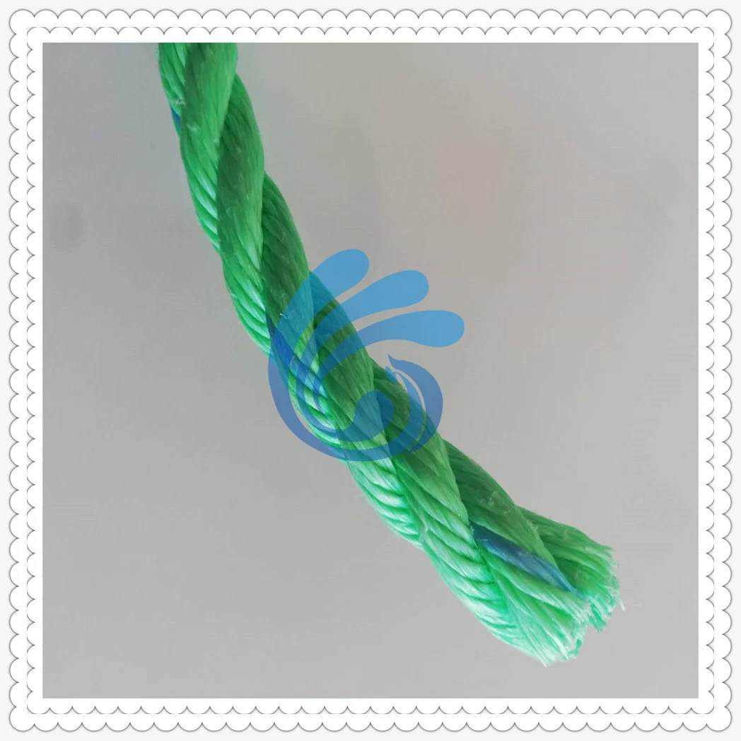 Customized Colorful 3/4 Stranded Twisted PP PE Rope