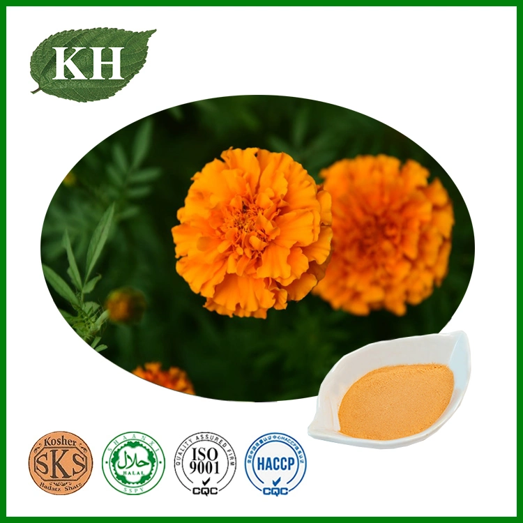 Kingherbs Provide Marigold Extract 5%-60% Zeaxanthin