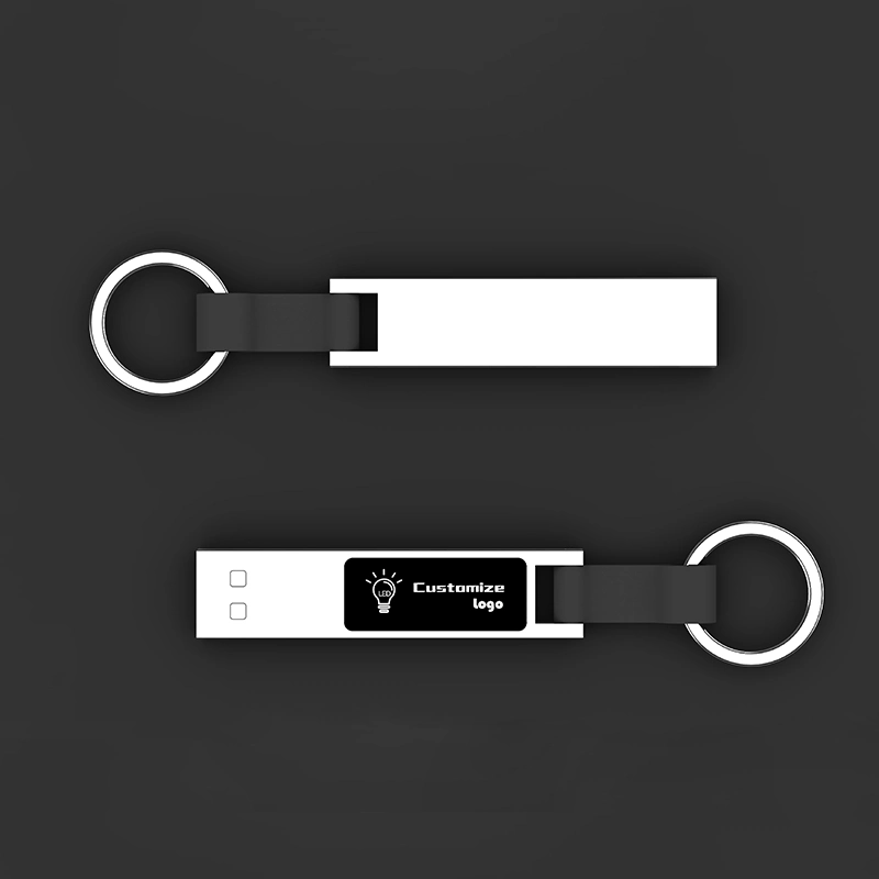 Clé USB en métal avec porte-clés