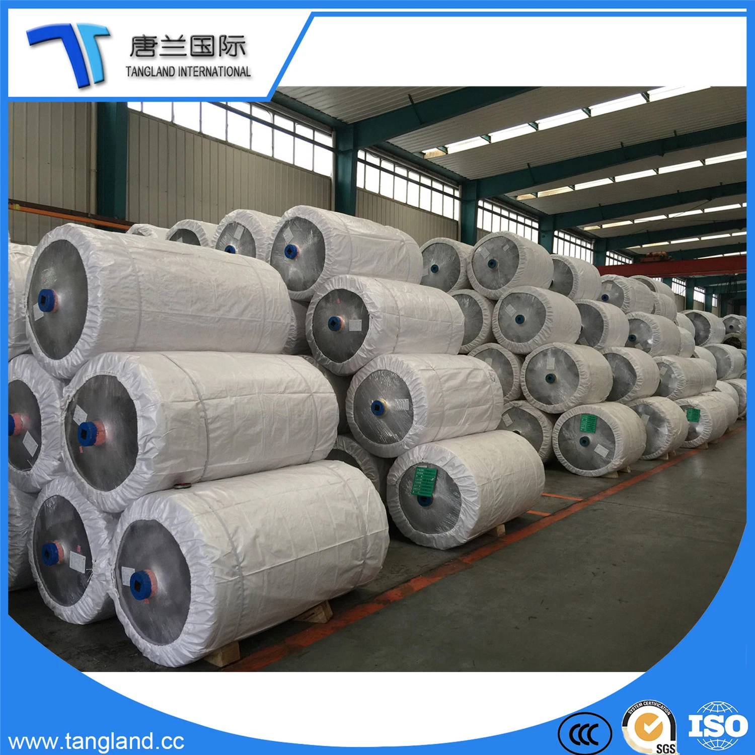 Nylon 6 Dipped Tire Cord Fabric with Low Price