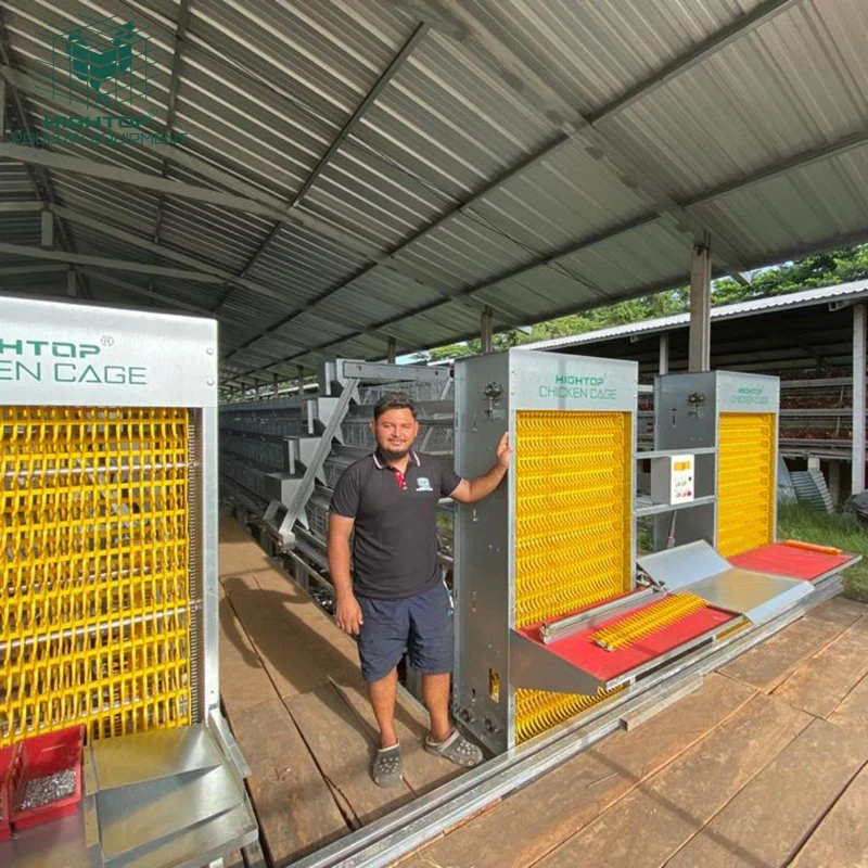 Galvanizado Hightop un marco de la capa de la batería Ponedora pollo automático jaulas con sistema de alimentación en Filipinas