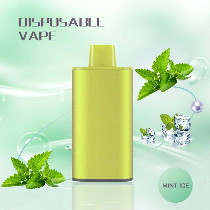 Shenzhen Vapes Pen 8000 Puffs Vaper Atomizer 8K Puff E-Cig Pod E Cigarette Vape