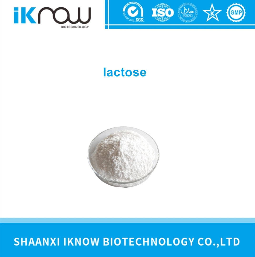 Food Additives Raw Materials Lactose CAS 63-42-3 White Powder with Fast Delivery and Best Price