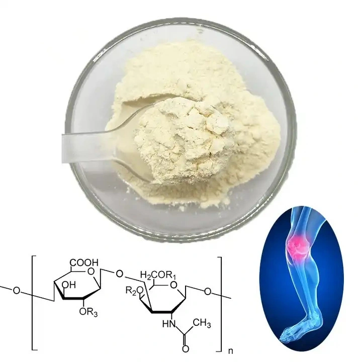 Support Knee Joint Health Chondroitin Sulfate Powder Bovine CAS 9082-07-9 Chondroitin Sulfate