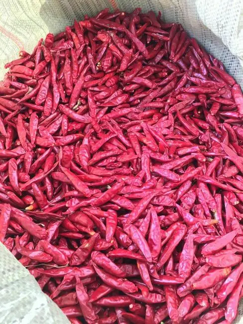 Dried Whole Red Chili Peppers