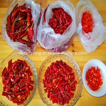 Hot Sale Dry Red Chilli Importers FDA