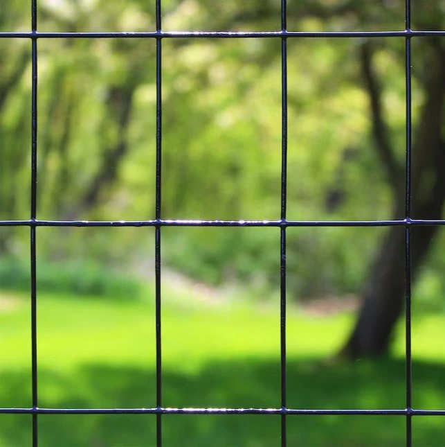 Hot Dipped Galvanized After Welding, Poultry Animal Netting Cage