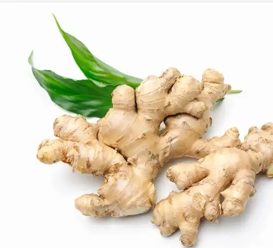 Factory Price Ginger Big Dry Ginger