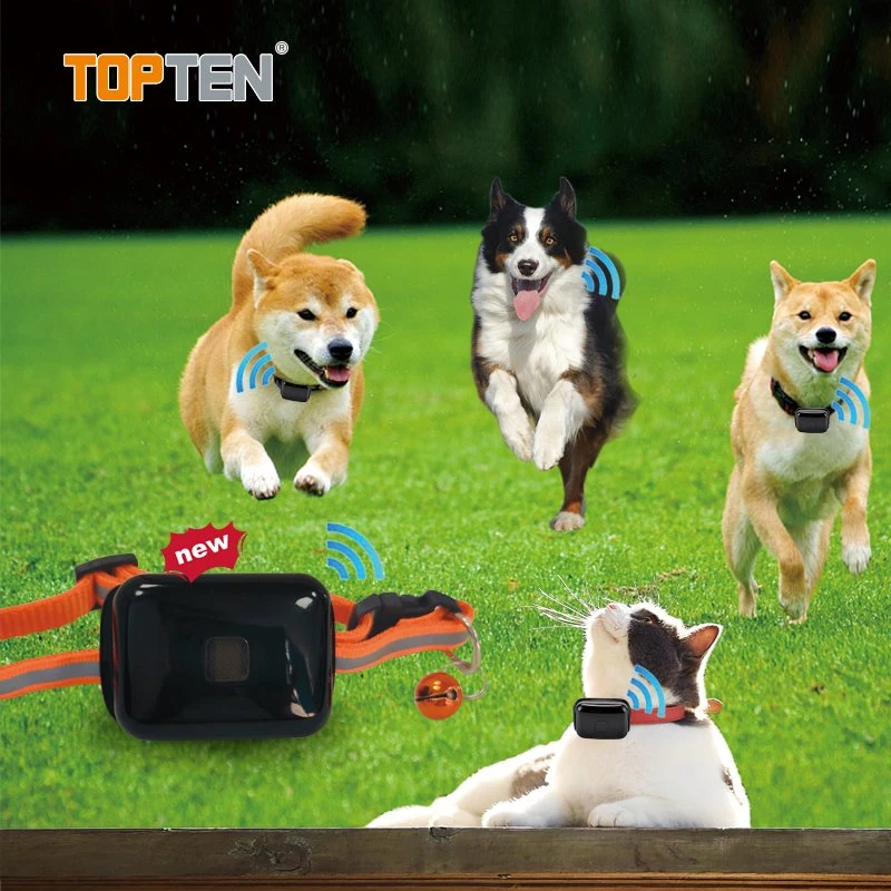 Trackers Pet GPS impermeável, Mini-Pet Rastreador GPS com rastreamento on-line (TN)