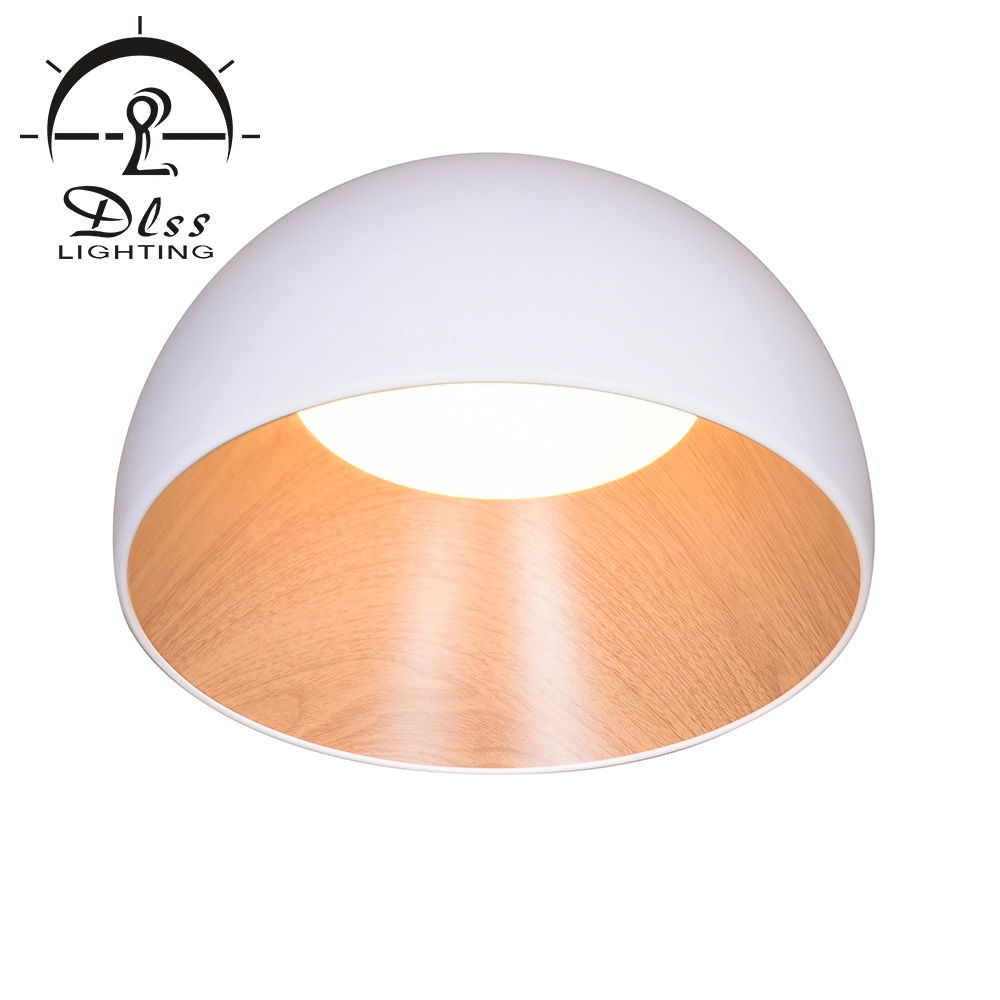 LED Ceiling Lamp Bowl-Shaped Home Decoration Modern LED Light Ceiling Lighting