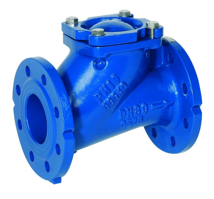 1 Inch Swing Check Valve with Cast Iron Carbon Steel Stainless Steel as Customized