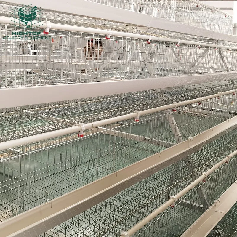 Zinc Aluminum Multi Tiers  Layer Chicken Cage With Automatic Drinking And Feeding System