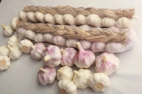 Mesh Bag Packing 5-7cm Normal Pure Red Fresh Garlic