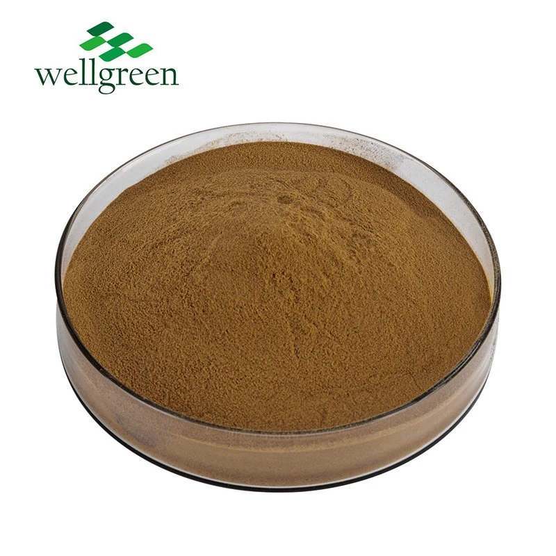 Bulk Pure Natural Dried Chan Tui Periostracum Cicadae PE. Cicada Slough Extract Powder