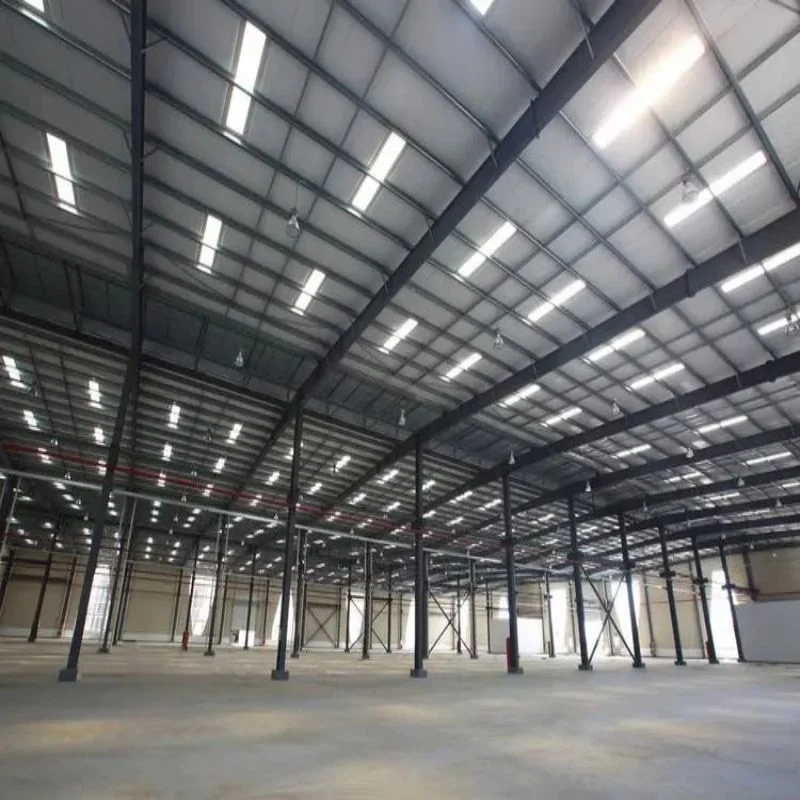 Turkey Metal Construction Projects/ Prefabricated Wide Span Steel Structure Building