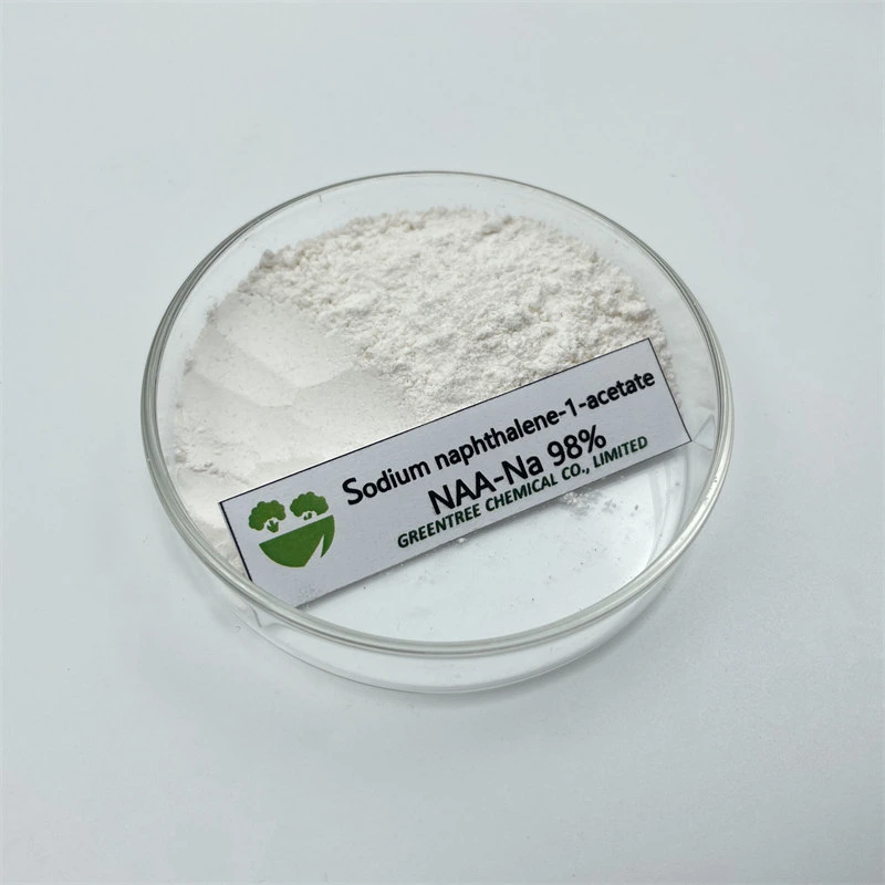 CAS No. 61-31-4 Auxin Alpha Na-Naa Sodium 1-Naphthaleneacetate 98%