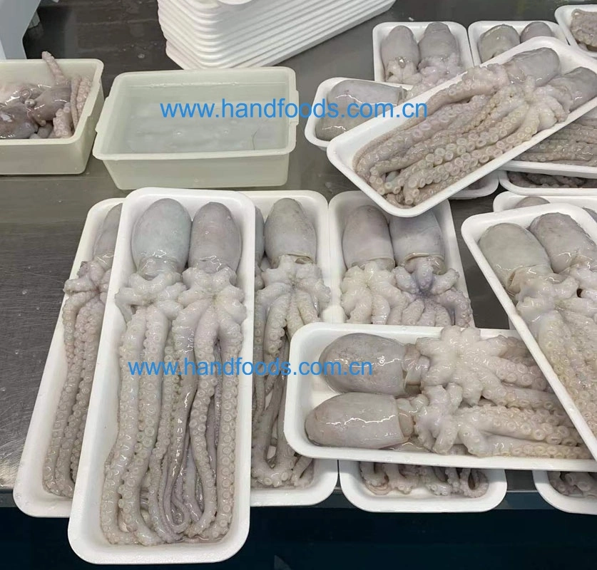 Premium Quality Seafood of Frozen Whiparm Octopus (long-leg)