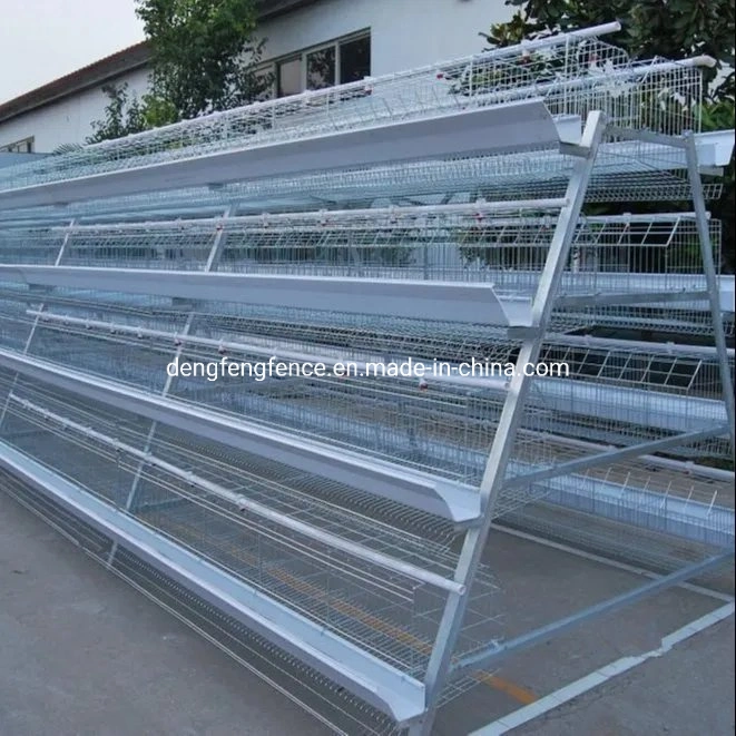 Chicken Wire Mesh a Type Egg Layer Battery Cage for Poultry Equipment