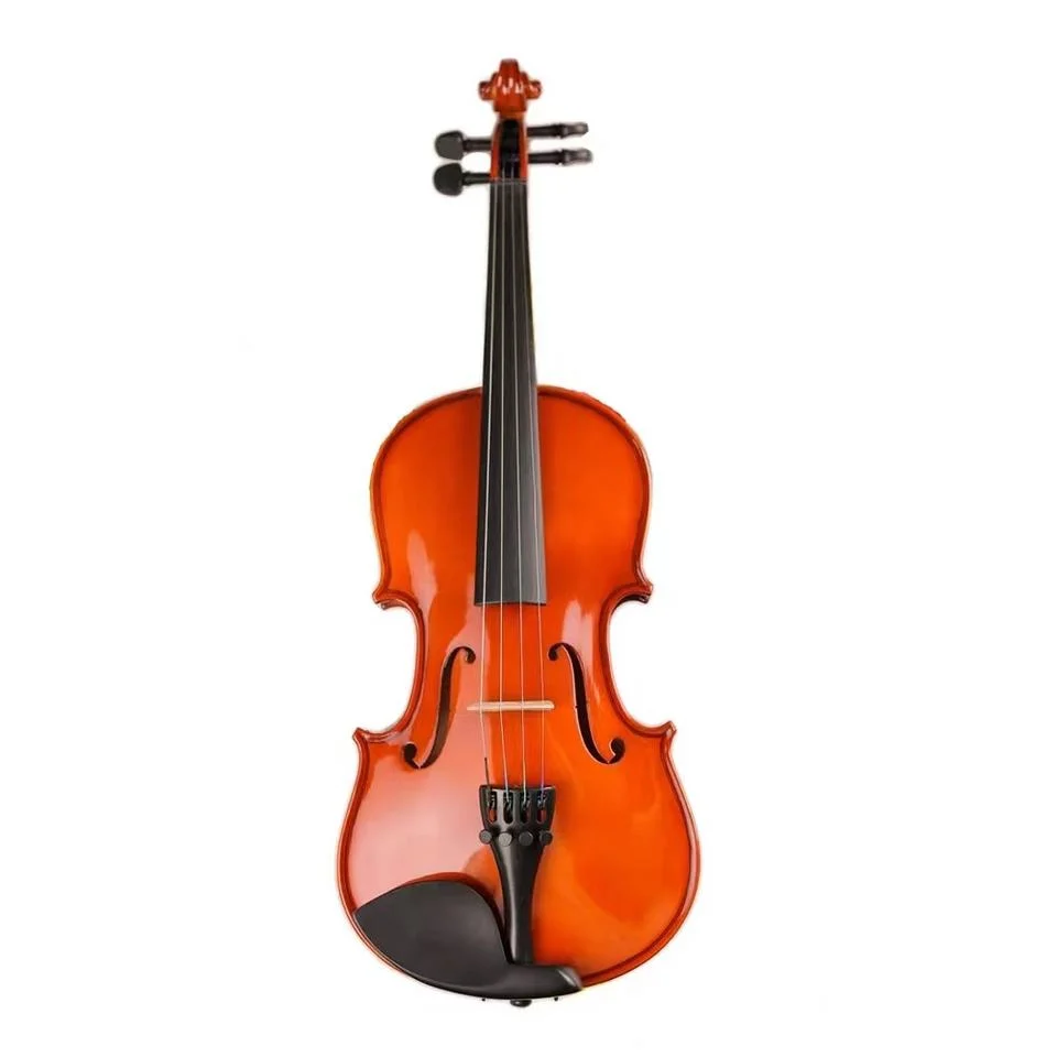 سبروس 4/4 فيولين من الصين ضد المياه Violin قضية