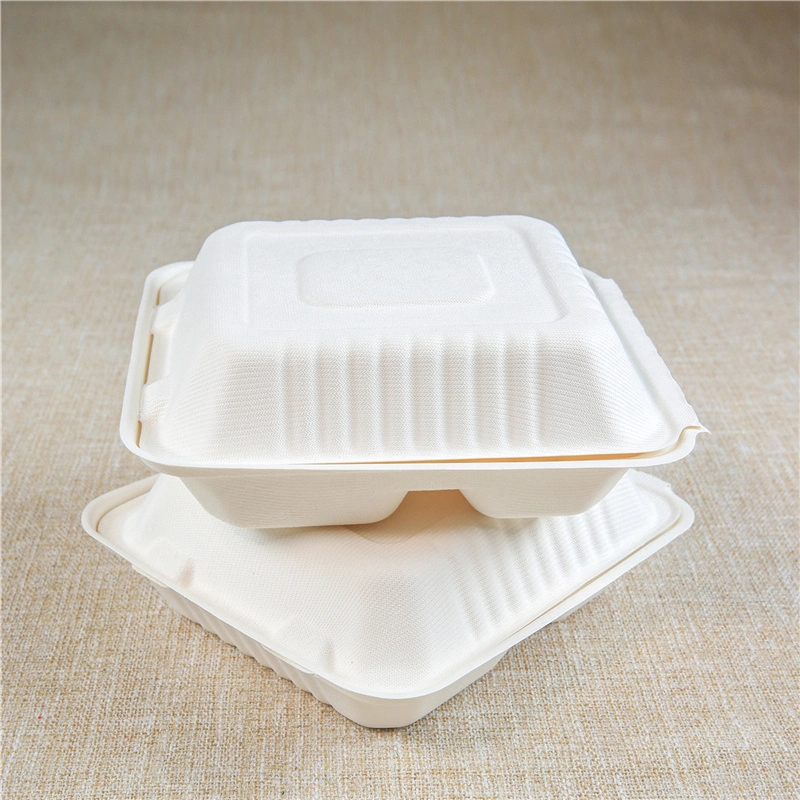 Sugarcanes Reuseable Foods in Bulk Insulated Food Container