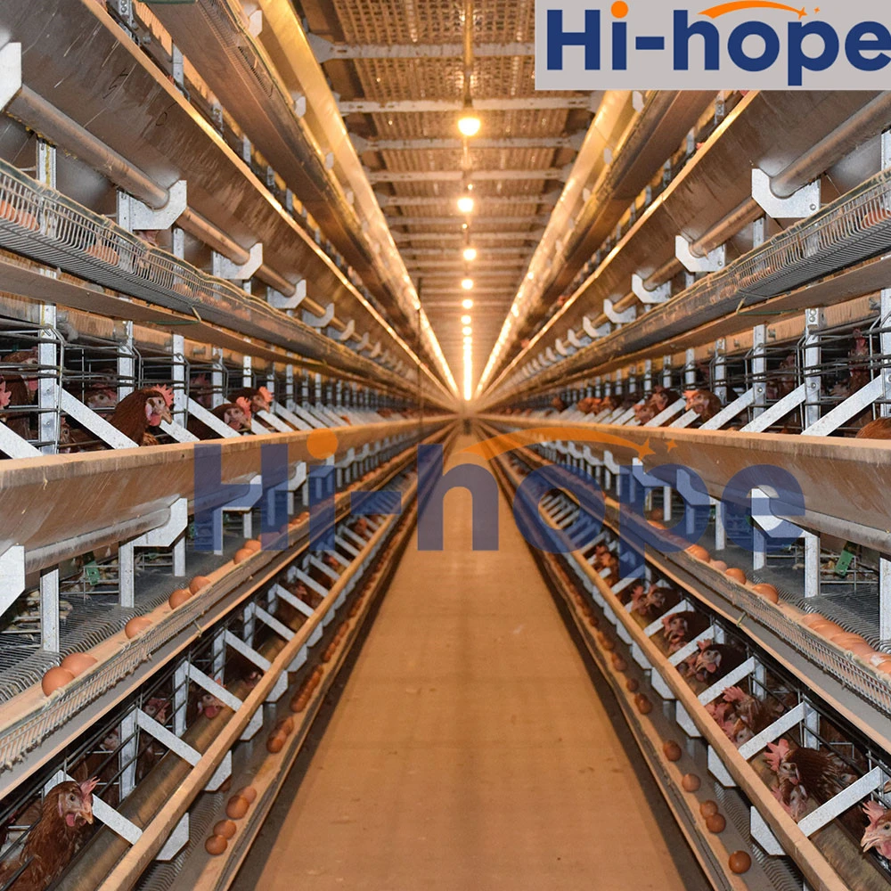 Environmental Controlled Automatic Egg Chicken Hen Layer Cage System