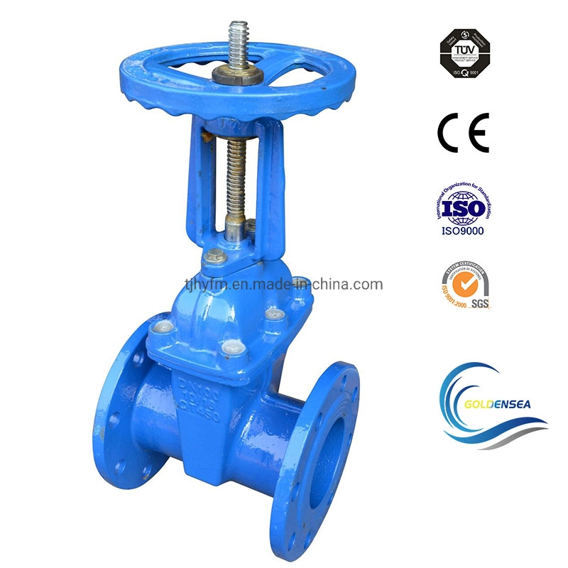 Hydraulics ANSI High quality/High cost performance Audited Supplier Resilient Gate Valve