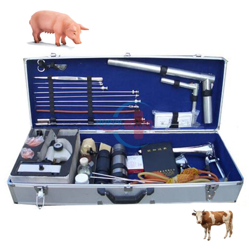 Hc-R085 Pig/Bovine Artificial Insemination Gun Insemination Equipment Veterinary Instrument