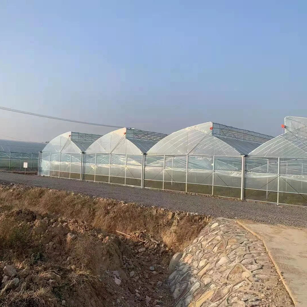 Instalación rápida de acero galvanizado en caliente el esqueleto Poly-Tunnel Casa Verde con techo cenital para una buena ventilación para las Verduras