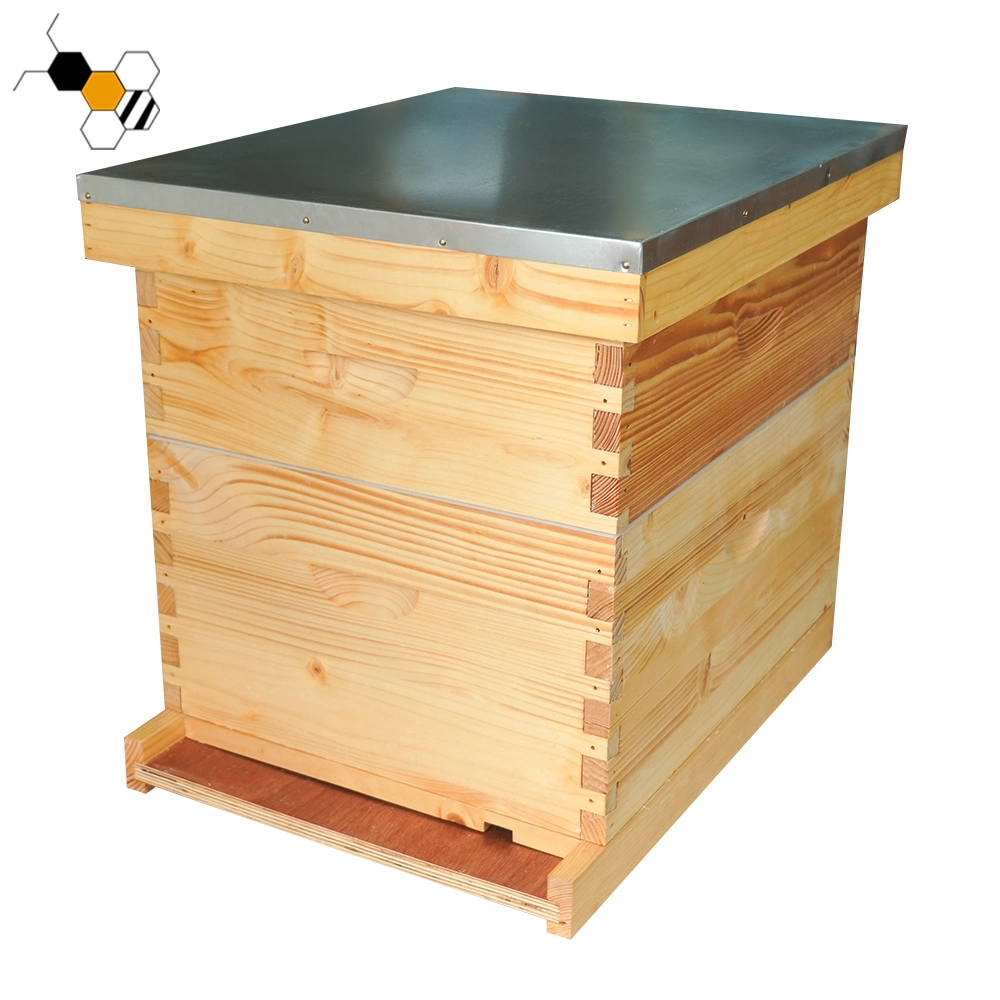 L'équipement d'Abeille apiculture ruche Langstroth Boîte en bois d'abeille