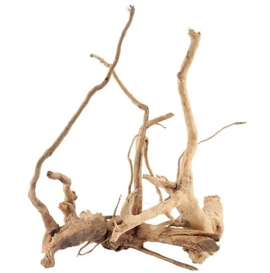 Acuario Natural Driftwood ramas decorativas contenedor de vidrio de reptiles peces decorativos de madera decoración Hábitat del depósito de diversos tamaños madera