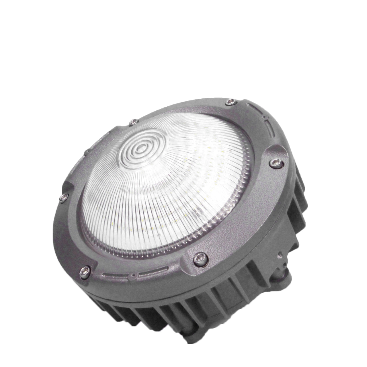 Hot Selling 220V AC High Efficiency Factory Price LED Light Outdoor I Area Explosion Proof Light