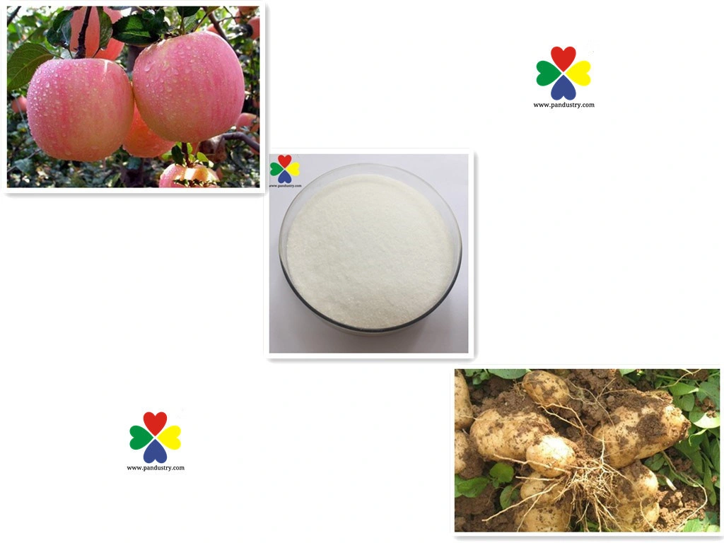 Agriculture Plant Growth Regulator Zeatin Technical Grade Trans-Zeatin Tc