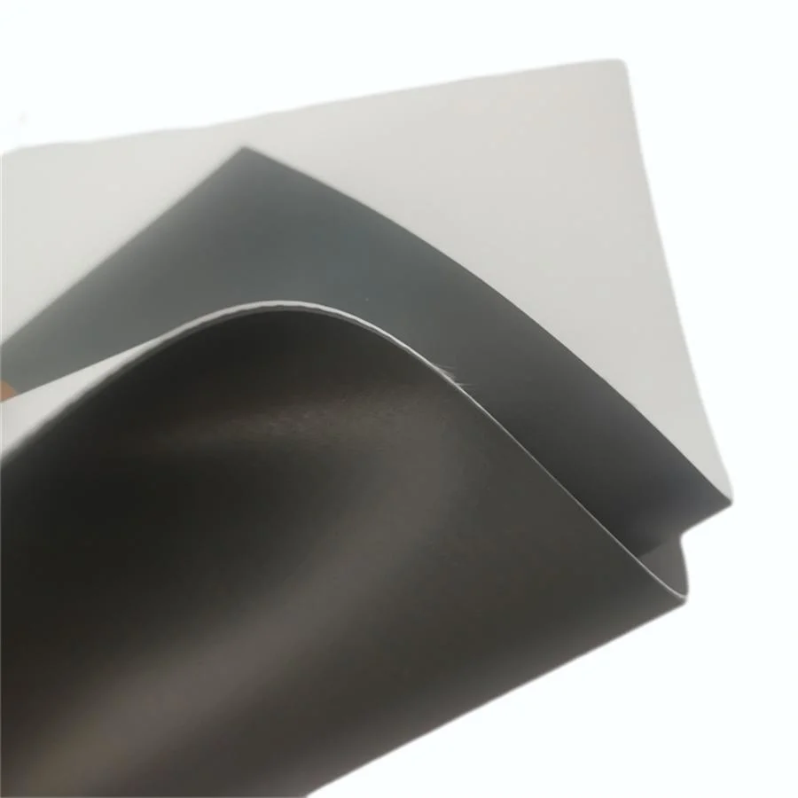 Plastic Roofing Underlayment Materials Roll of Water Proofing Membrane Tpo Dampproof Sheet