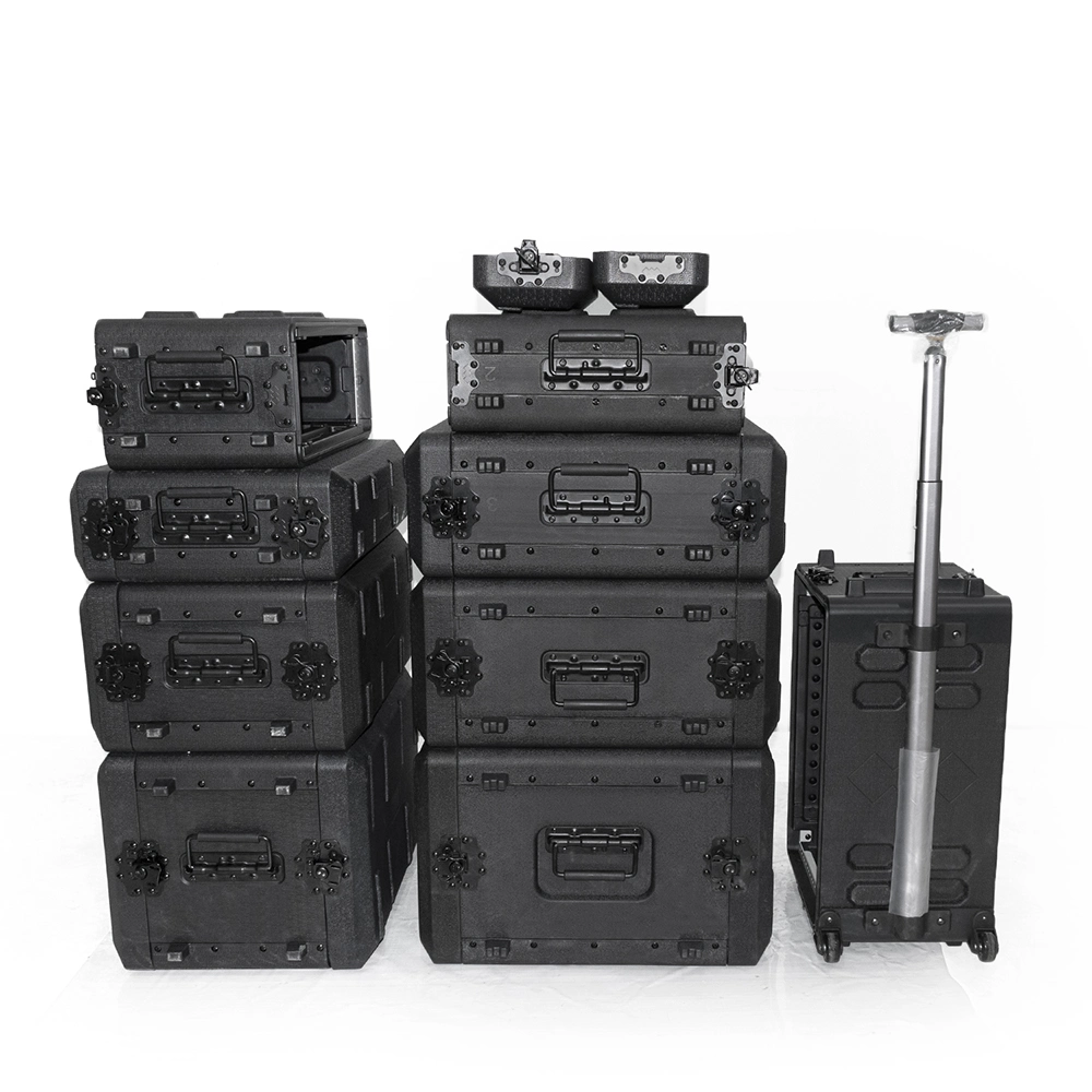 Wireless Microphone Sound Audio System 2u Flight Case