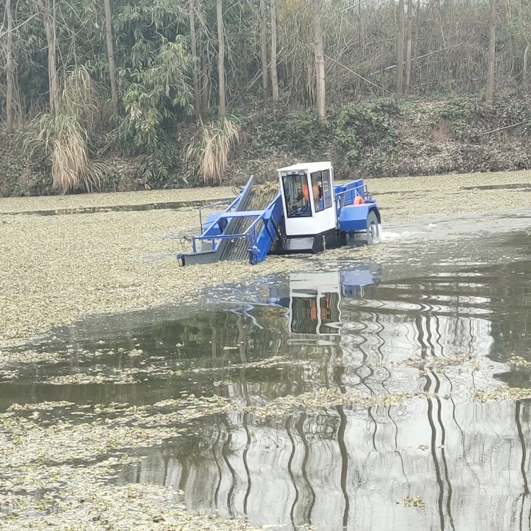 Automatic River Lake Water Hyacinth Grass Reed Mower Cutting Machine