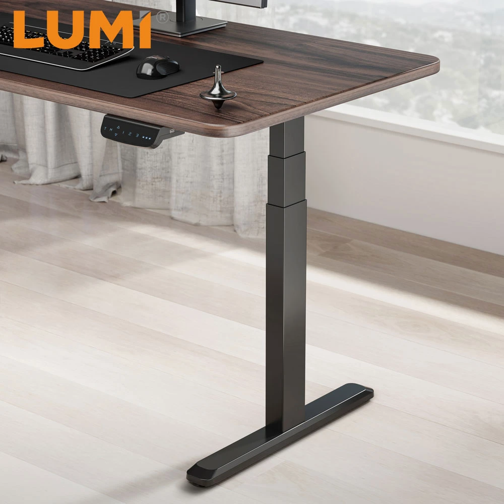 Office Table Computer Ergonomic Up Down Memory Controller Height Adjustable Dual Motor Electric Sit Standing Desk Leg Frame