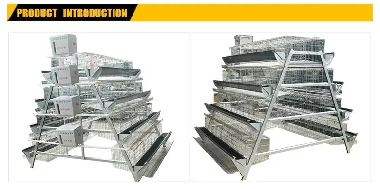 Hot Galvanized a Type Poultry Farm Chicken Cage for Broiler/Layers