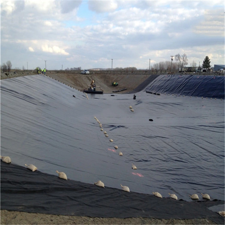 HDPE Building Foundation Waterproof Geomembrane for Damp Proof