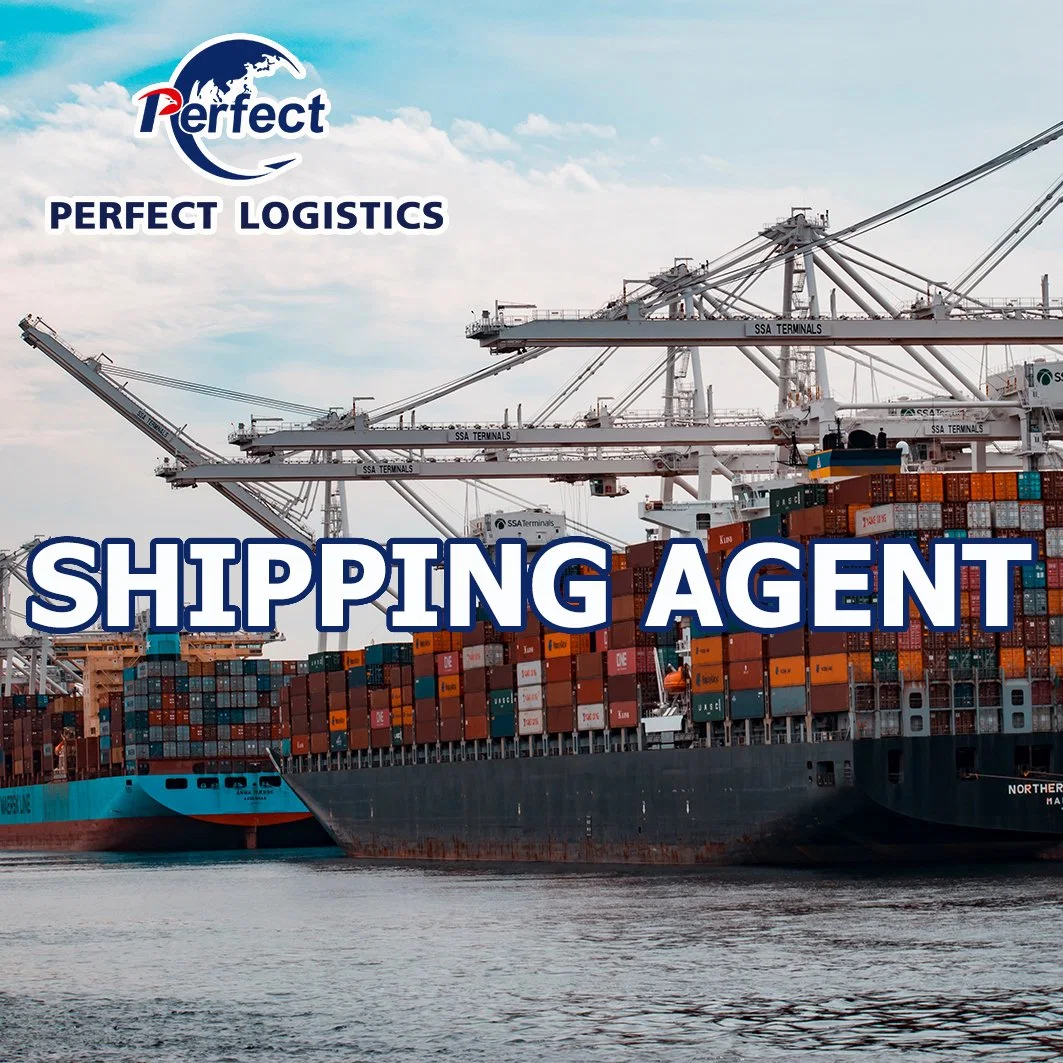 Freight Forwarder Sea Cargo Shipment Service From China to Slovenia