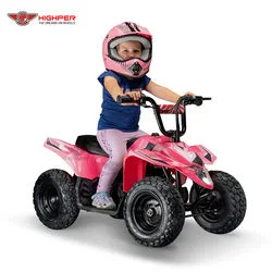 New Toy Ride on Electric ATV for Kids Bike Quad 250W 24V