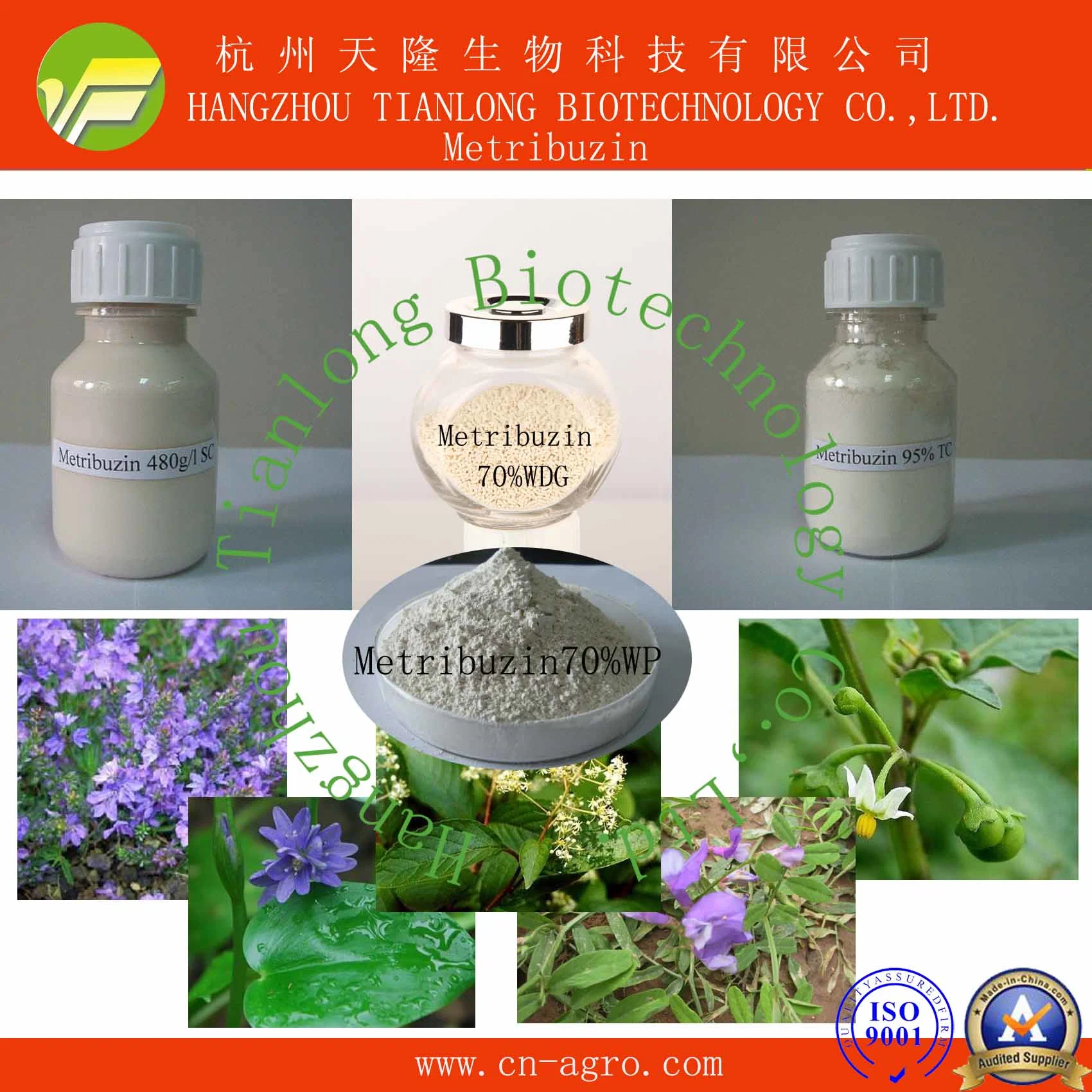 Metribuzin (97%TC, 70%WP, 70%WDG, 480SC)-Herbicide