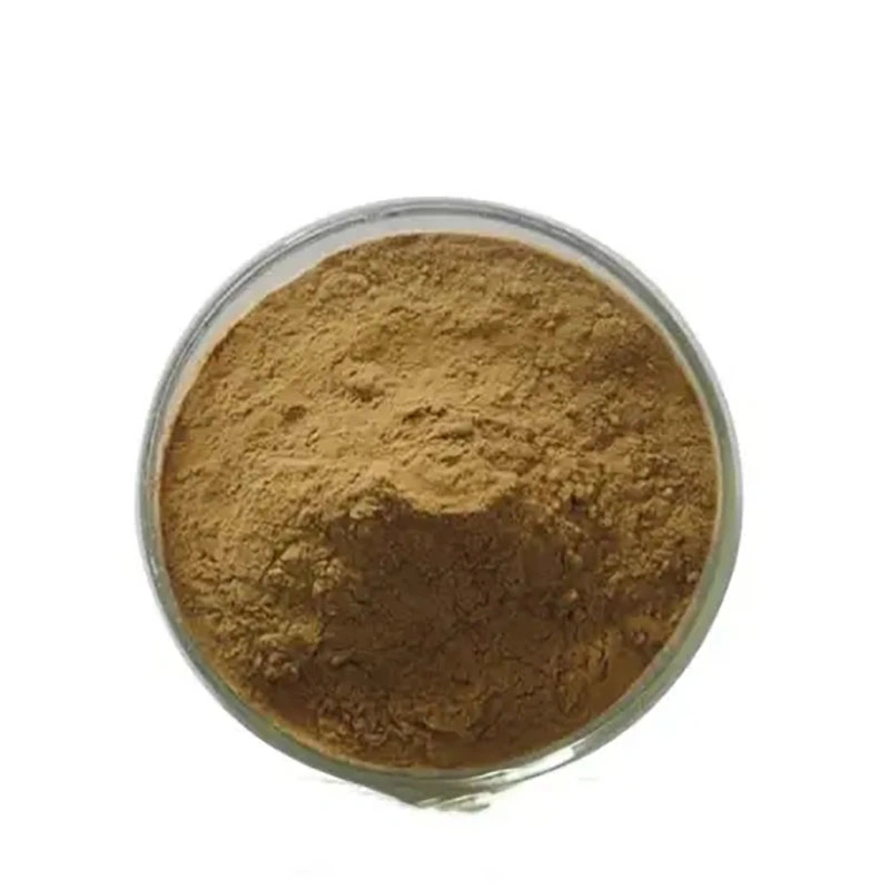 Factory Supply Natural Purslane Herb Ginseng Extract