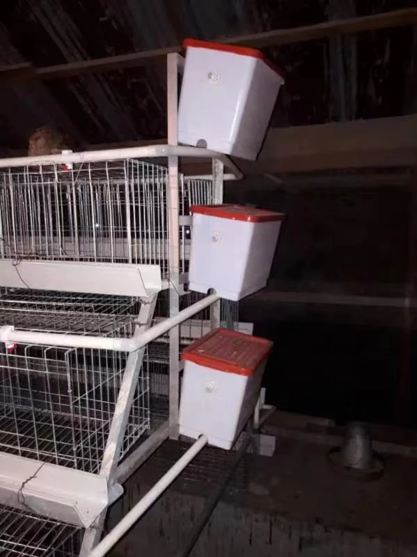 Chicken Cage/Chicken Cage Factory Design Layer Cage für Chicken Farm Geflügelfarm Leying Hens Used Layer Battery Chicken Cage