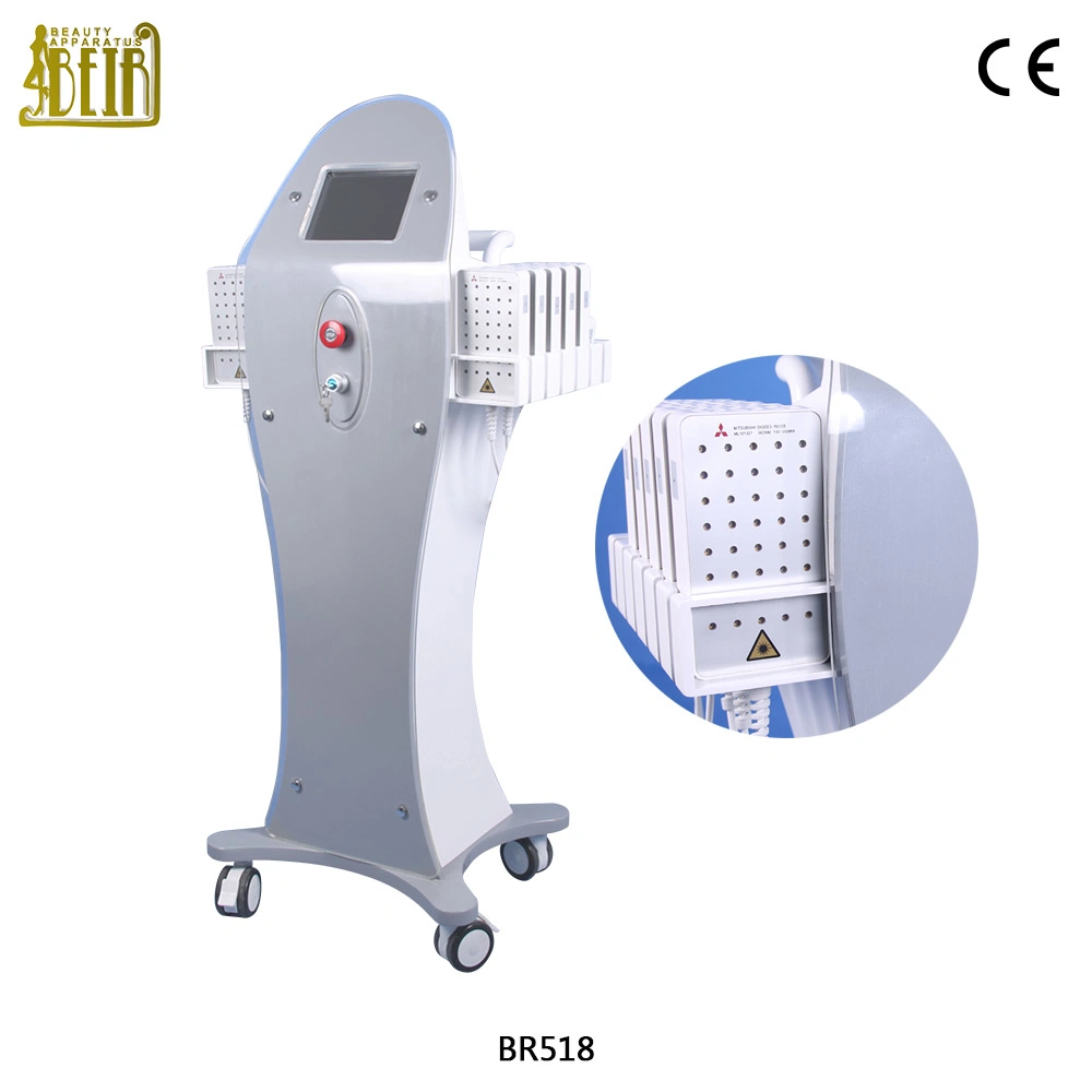 Vertical Dual Diodo Wavelength Precio De Lipolaser 650nm 980nm Lipo Laser Slimming Machine