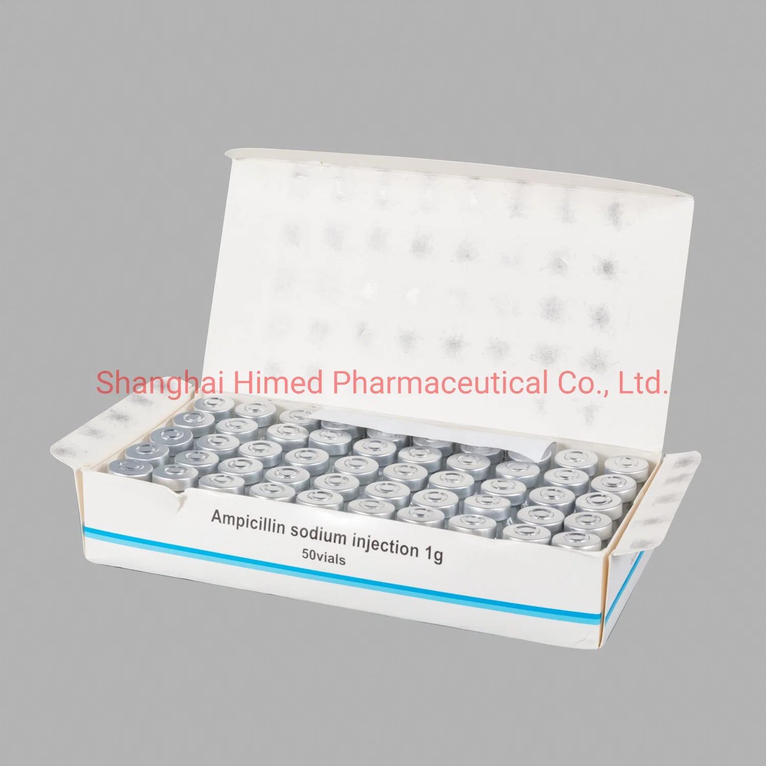 Ampicillin Sodium Powder Injection 0.25g/250mg/0.5g/500mg/1g