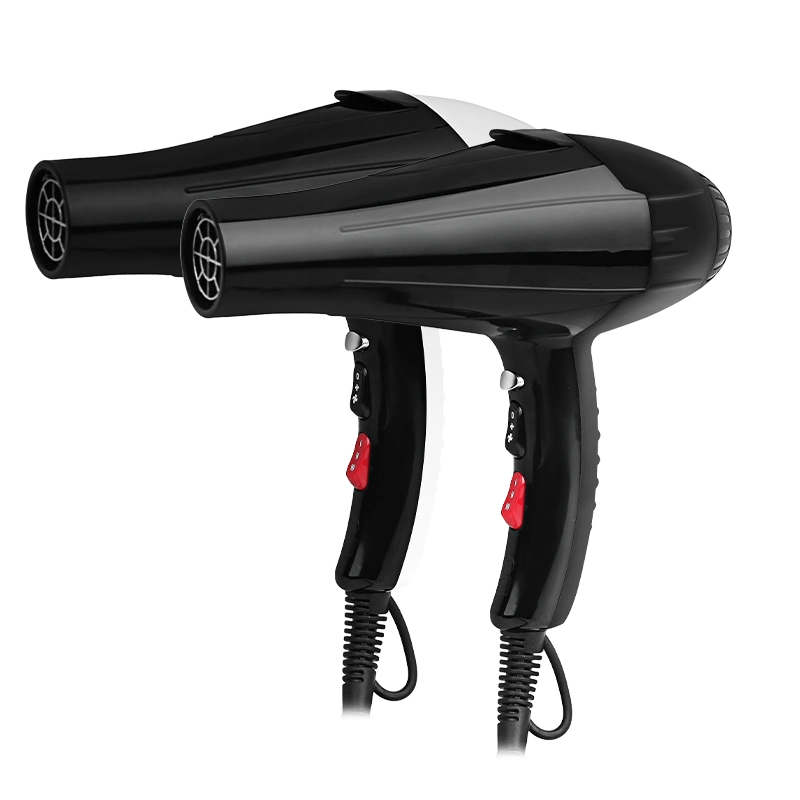 Customized Professional High-Power Hair Dryer for Salon