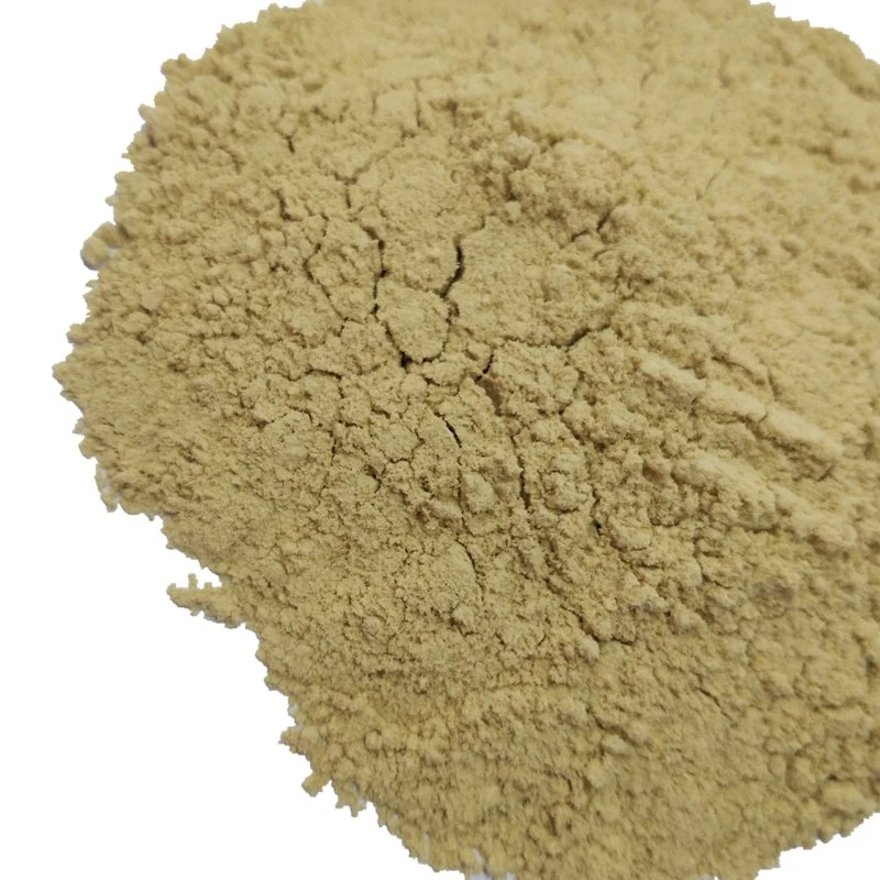 30-70 Mesh Dried Ginger Powder From Laiwu Manhing