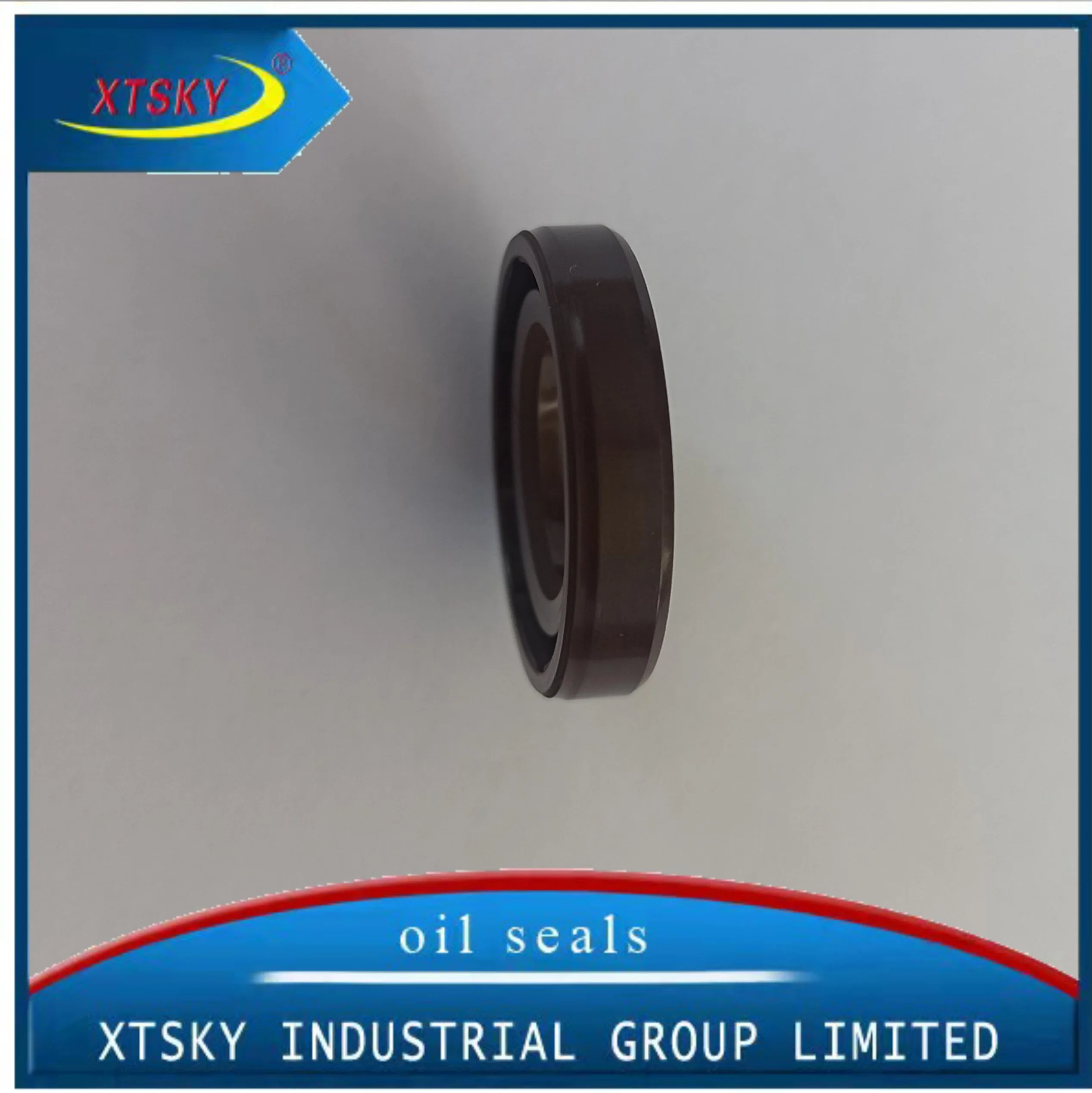 High quality/High cost performance Oil Seal Tc/Tb/Ta with NBR/FKM/Acm Material