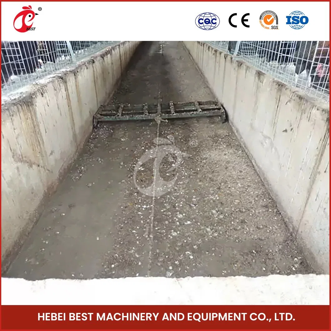 Bestchickage إزالة السماد نظام الصين تنظيف المكشطة آلة المكشطة شهادة CE المخصصة نظام إزالة الدواجن الدواجن من أجل البيع