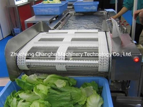 Lwt Fruit and Vegetable Processing Line Food Processing Machine Canned Fruit Vegetable Pet Food Plastic Crate Cleaning Machine